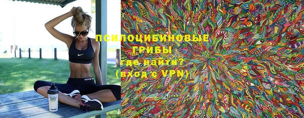 дживик Белоозёрский